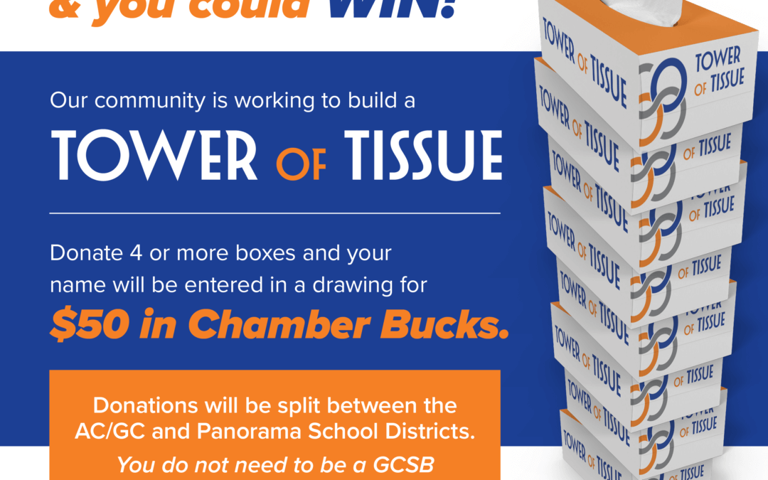 Help Our Local Schools by Donating to the Tower of Tissue!